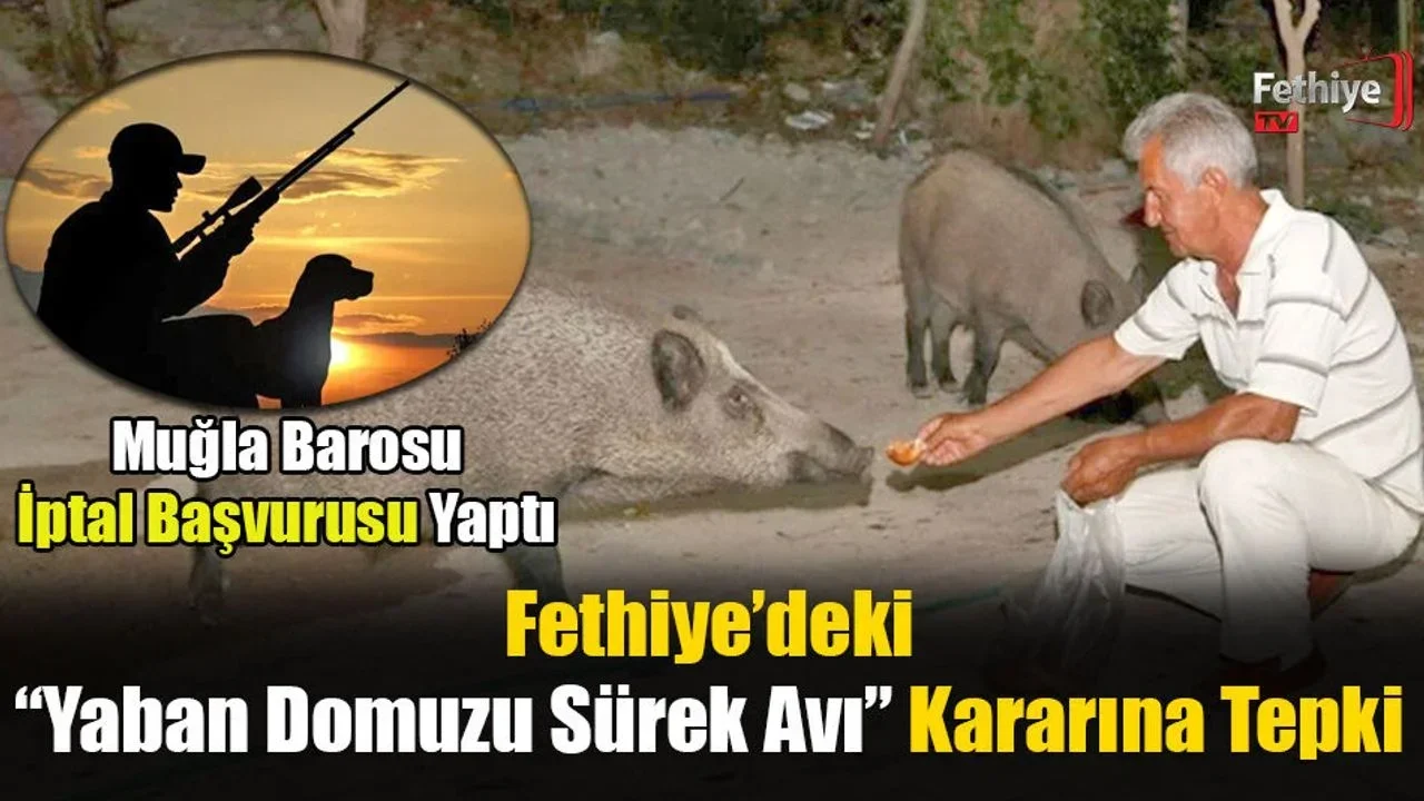 Fethiye’deki “Yaban Domuzu Sürek Avı” Kararına Tepki