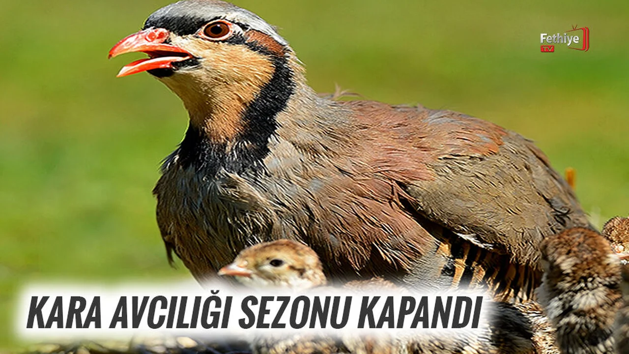 Kara Avcılığı Sezonu Kapandı
