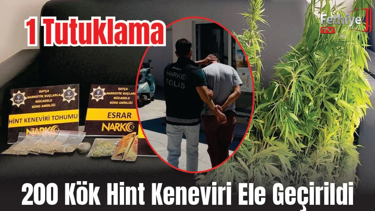 200 Kök Hint Keneviri Ele Geçirildi, 1 Tutuklama