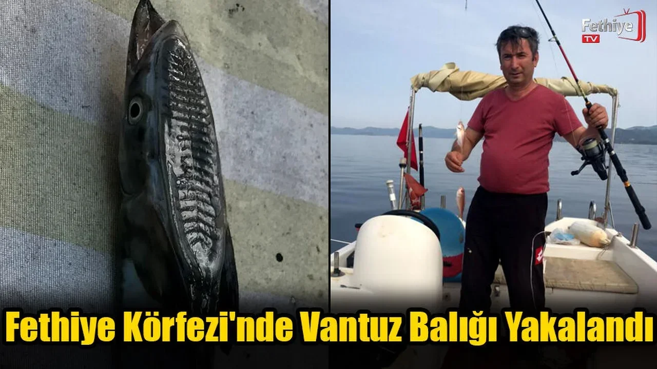 Fethiye Körfezi'nde Vantuz Balığı Yakalandı
