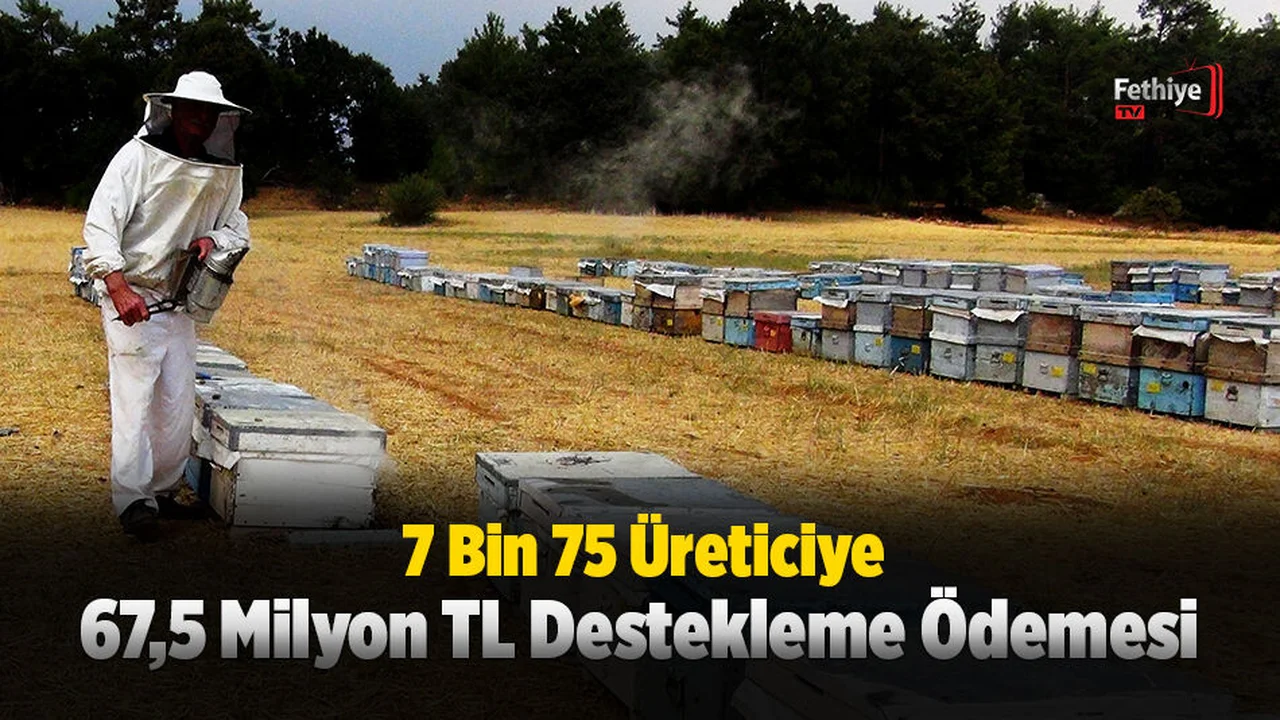 7 Bin 75 Üreticiye 67,5 Milyon TL Destekleme Ödemesi