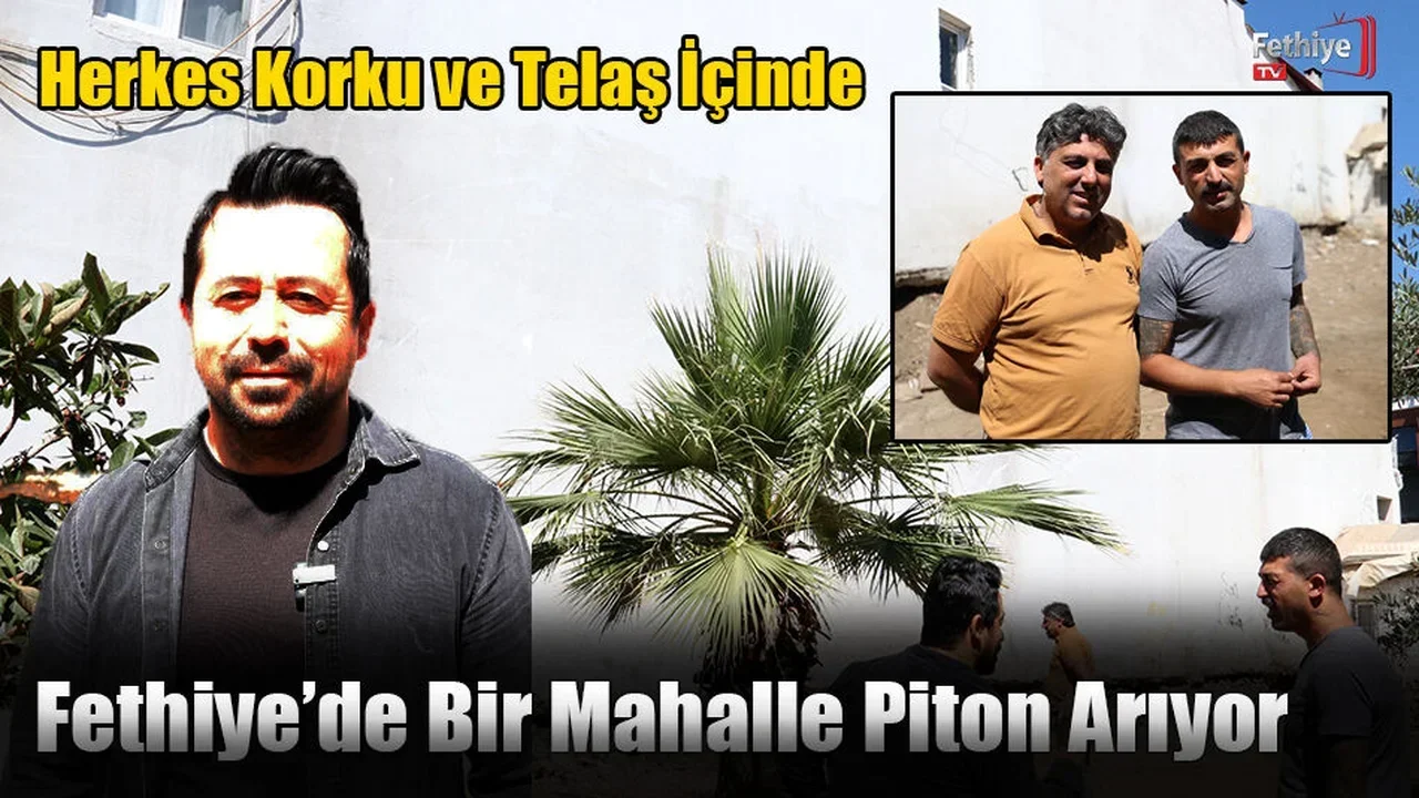 Fethiye’de Bir Mahalle Piton Arıyor