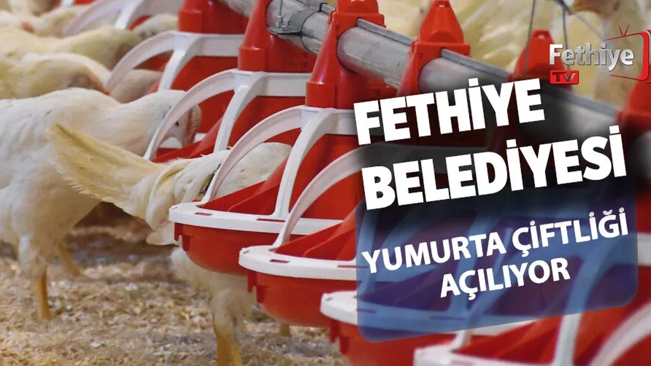 Fethiye Belediyesi Yumurta Çiftliği Açılıyor