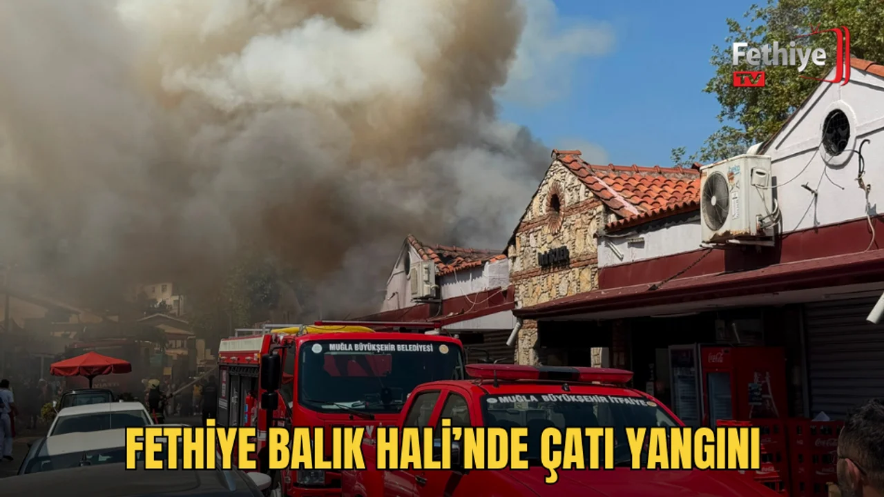 Fethiye Balık Hali'nde bir restoranın bacasından başlayan yangın, bitişik işletmenin çatısına sıçradı.