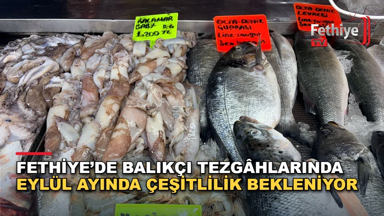 Fethiye balık pazarında tezgâhlar taze hamsi, kıraça ve istavrit ile doldu.