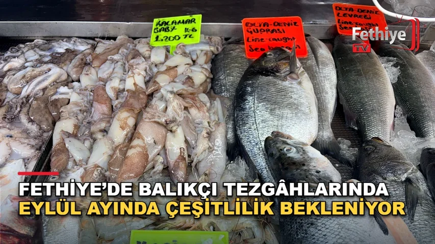 Fethiye balık pazarında tezgâhlar taze hamsi, kıraça ve istavrit ile doldu.