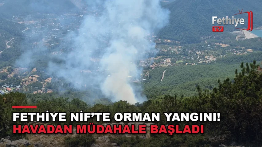 Nif Mahallesi ormanlık alanında çıkan yangına havadan müdahale ediliyor