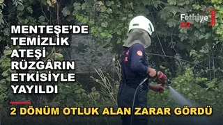 Menteşe'de rüzgarın etkisiyle yayılan yangına itfaiye ekipleri müdahale etti
