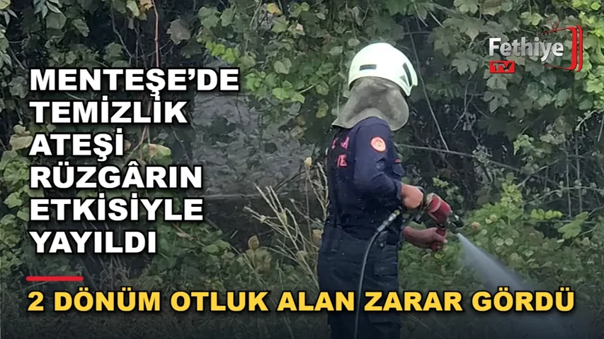 Menteşe'de rüzgarın etkisiyle yayılan yangına itfaiye ekipleri müdahale etti