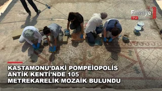 POMPEIOPOLIS’TE BİNLERCE YILLIK MİRAS GÜN IŞIĞINA KAVUŞTU! 105 METREKARELİK MOZAİK ORTAYA ÇIKARILDI görseli