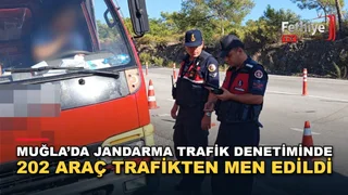 Muğla İl Jandarma Komutanlığı trafik denetimlerinde 21 bin 961 araç kontrol edildi