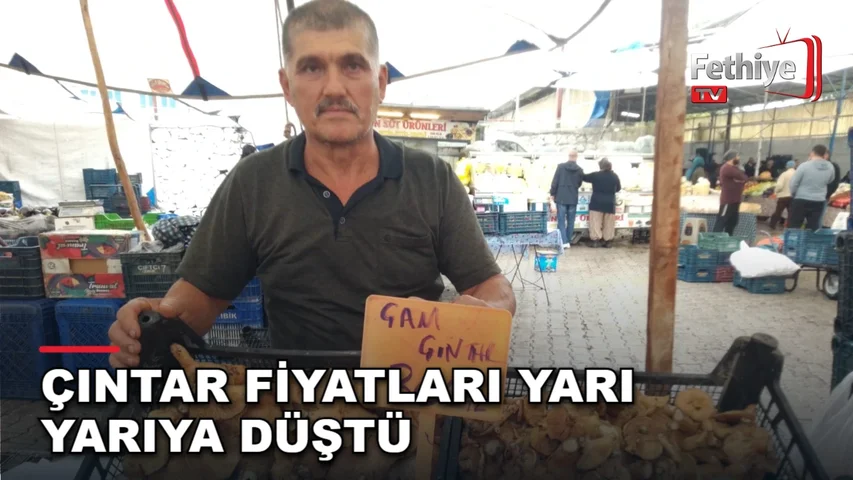Seydikemer'in yüksek kesimlerinde toplanan çıntar mantarı Fethiye Salı Pazarı'nda tezgâhlarda satışa sunuldu