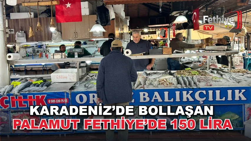 Fethiye Balık Pazarı'nda tezgahlarda satışa sunulan palamut balıkları