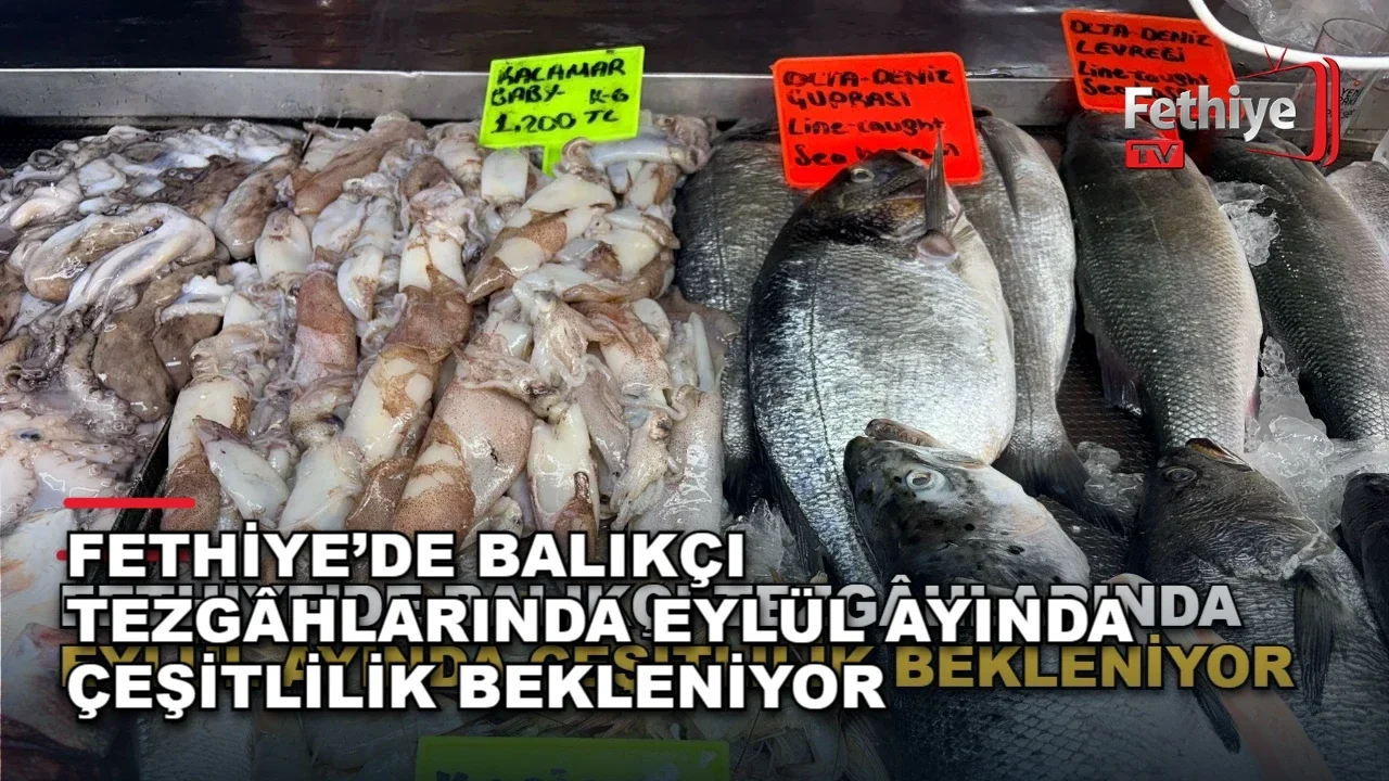 Fethiye’de Balıkçı Tezgâhlarında Eylül Ayında Çeşitlilik Bekleniyor