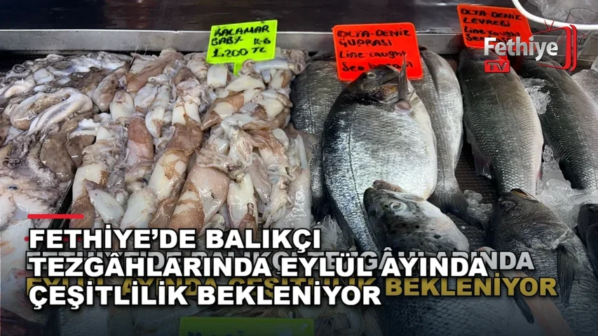 Fethiye balık pazarında tezgâhlar taze hamsi, kıraça ve istavrit ile doldu.