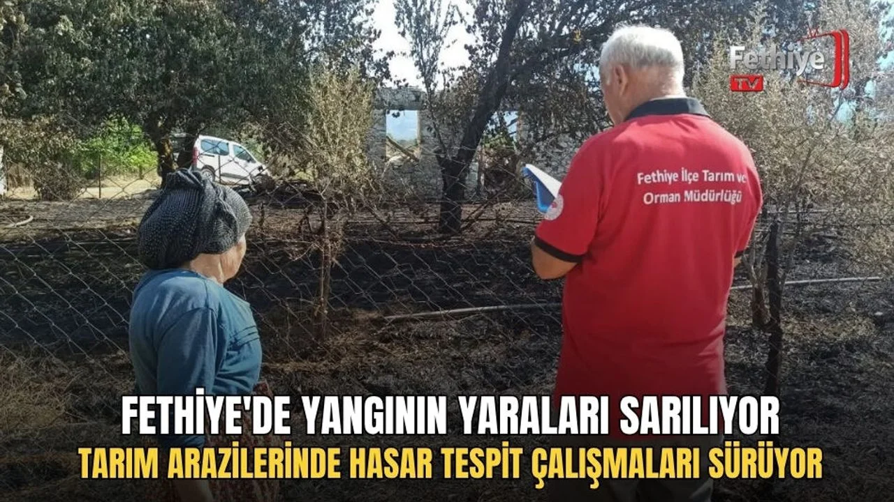 Fethiye'de Yangının Yaraları Sarılıyor