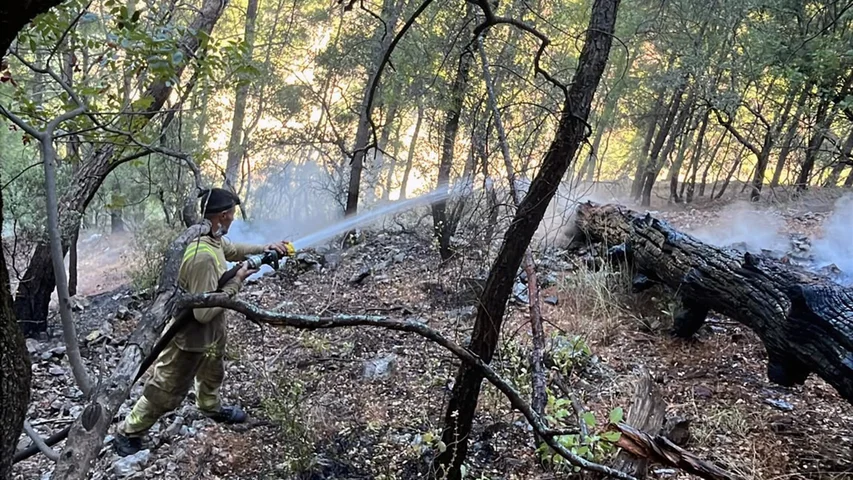 Dalaman'da ulaşımı güç bölgede çıkan orman yangınına orman ekipleri sabah saatlerinde müdahale etti.
