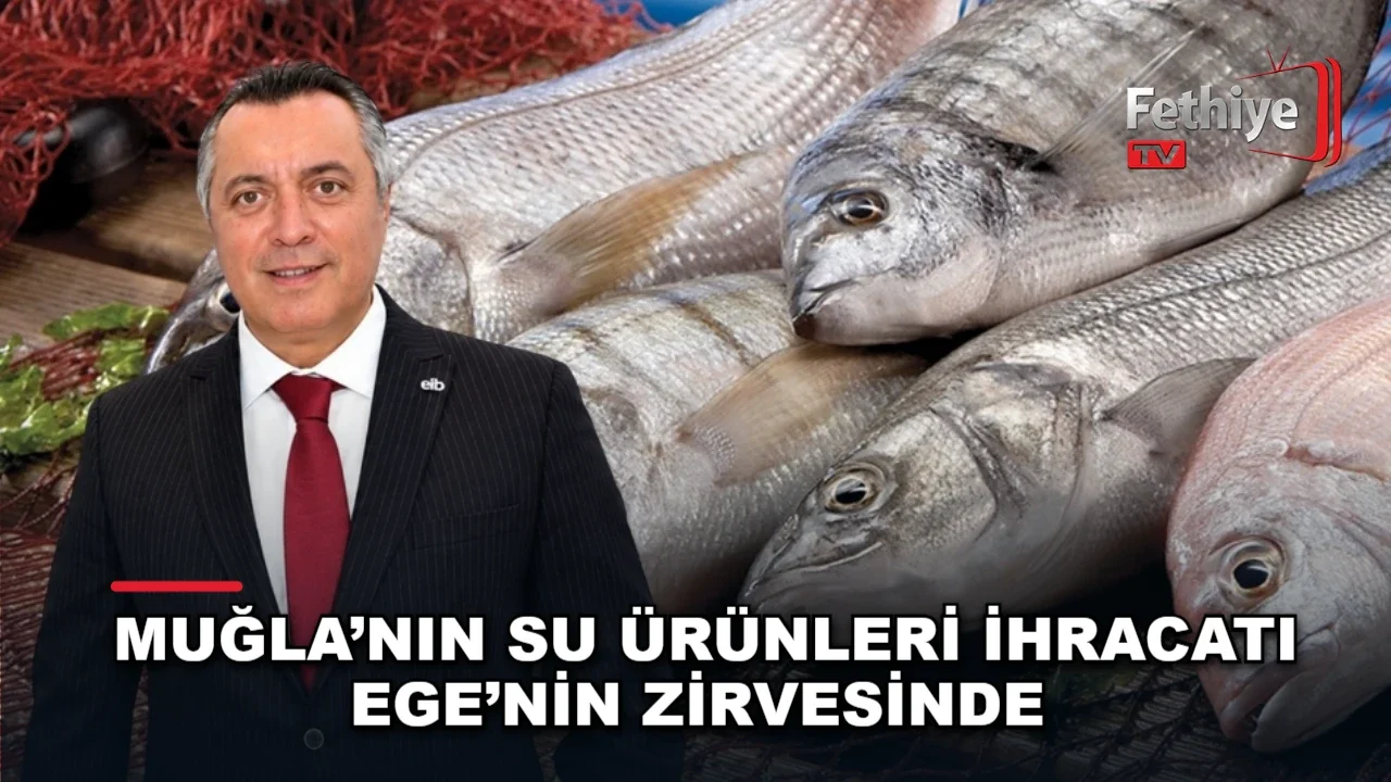 Muğla su ürünleri ihracatı levrek çipura ve Türk somonu ile Ege ekonomisine katkı sağlıyor