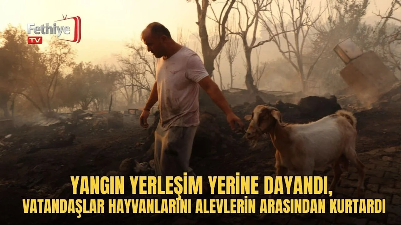 Yangın Yerleşim Yerine Dayandı, Vatandaşlar Hayvanlarını Alevlerin Arasından Kurtardı