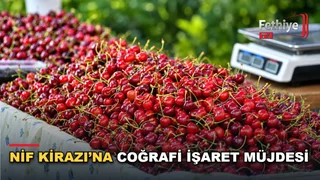 Fethiye Nif Mahallesi'nde yetiştirilen kirazın coğrafi işaret tescil süreci değerlendirildi.