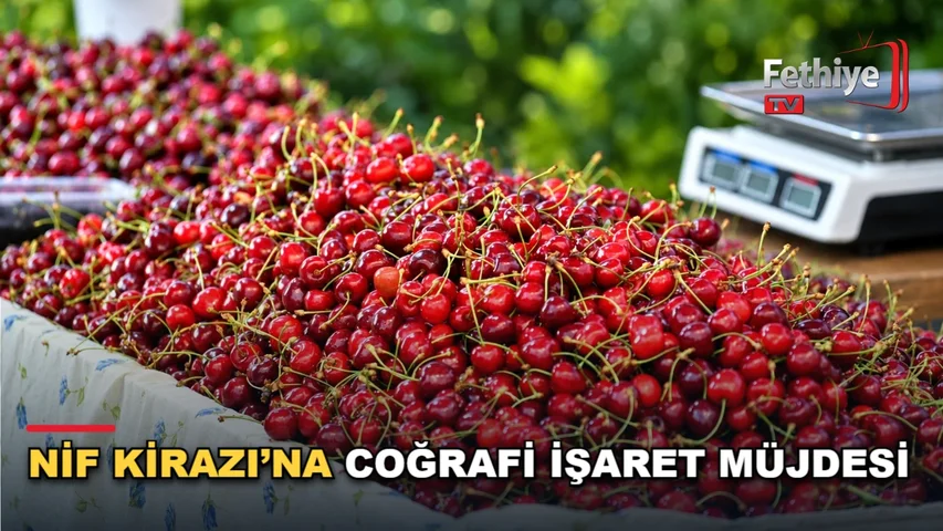 Fethiye Nif Mahallesi'nde yetiştirilen kirazın coğrafi işaret tescil süreci değerlendirildi.