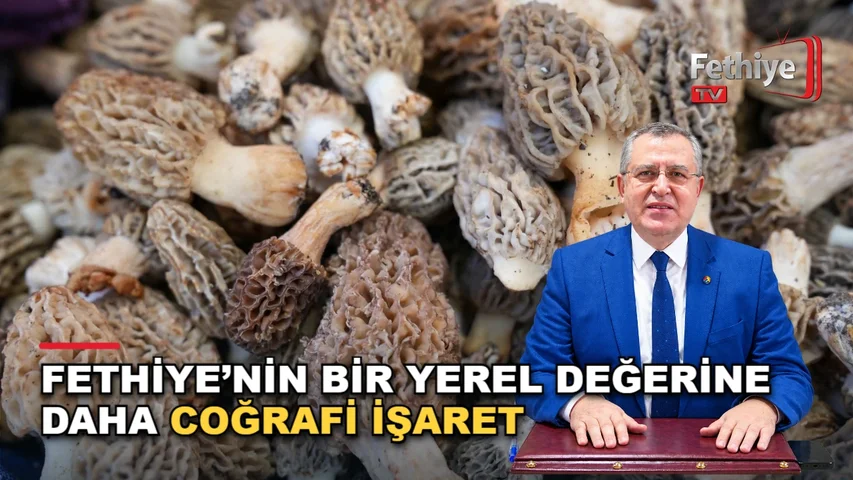 Fethiye Kuzugöbeği Mantarı coğrafi işaret tescil belgesi ve festival tanıtımı