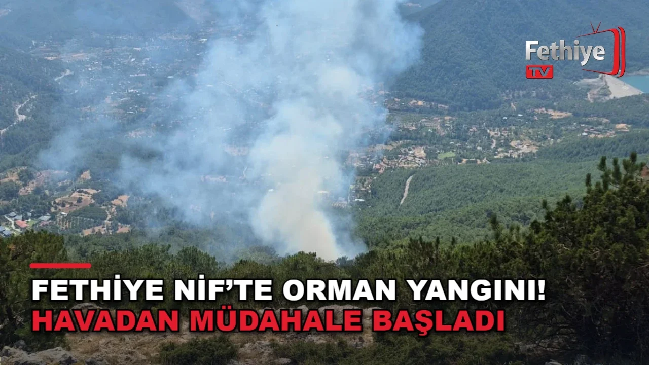 Fethiye Nif’te Orman Yangını! Havadan Müdahale Başladı