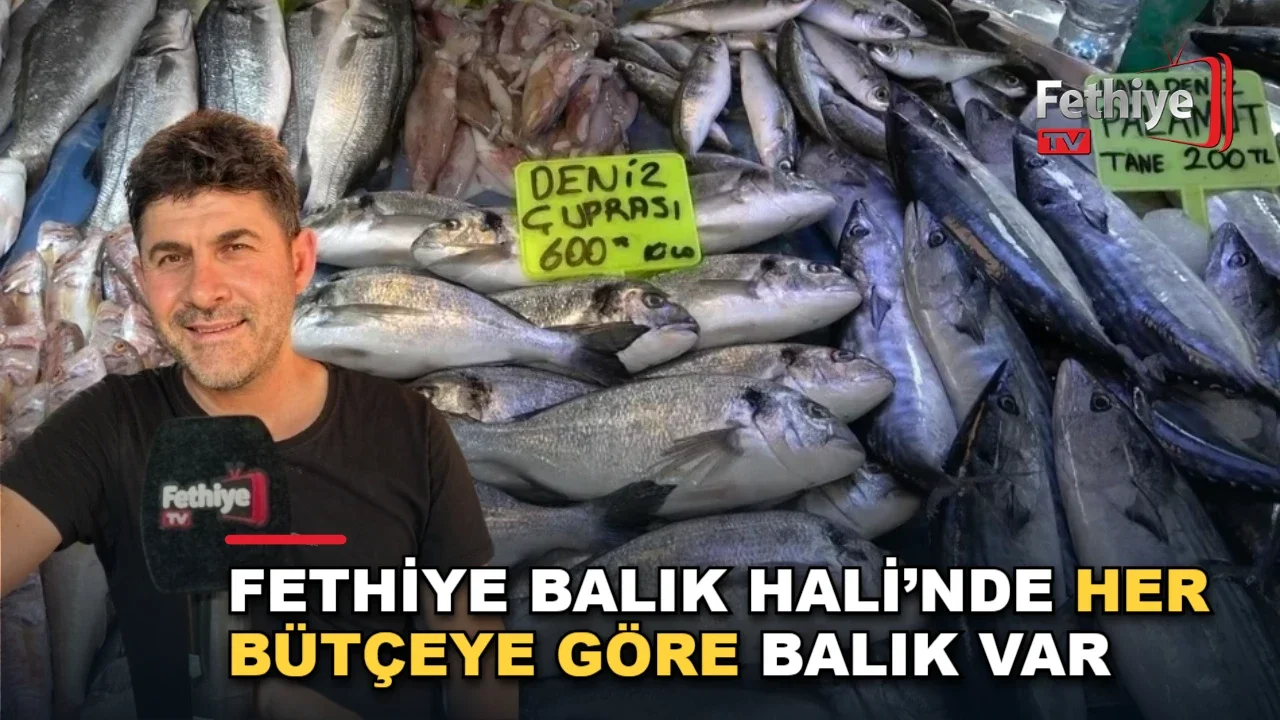 Fethiye Balık Hali’nde Her Bütçeye Göre Balık Var