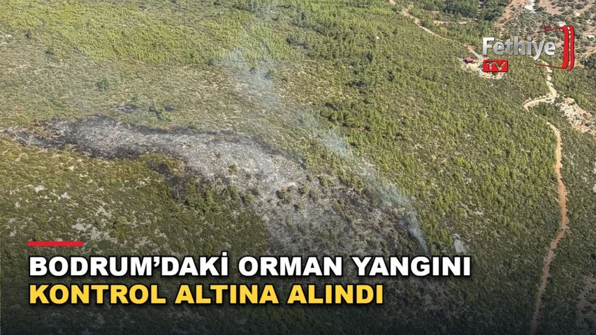 Bodrum Mazı Mahallesi'ndeki ormanlık alanda çıkan yangına havadan ve karadan müdahale edildi
