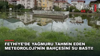 Fethiye'de Meteoroloji Müdürlüğü bahçesinde yağış sonrası oluşan su birikintisinde yüzen ördekler görüldü