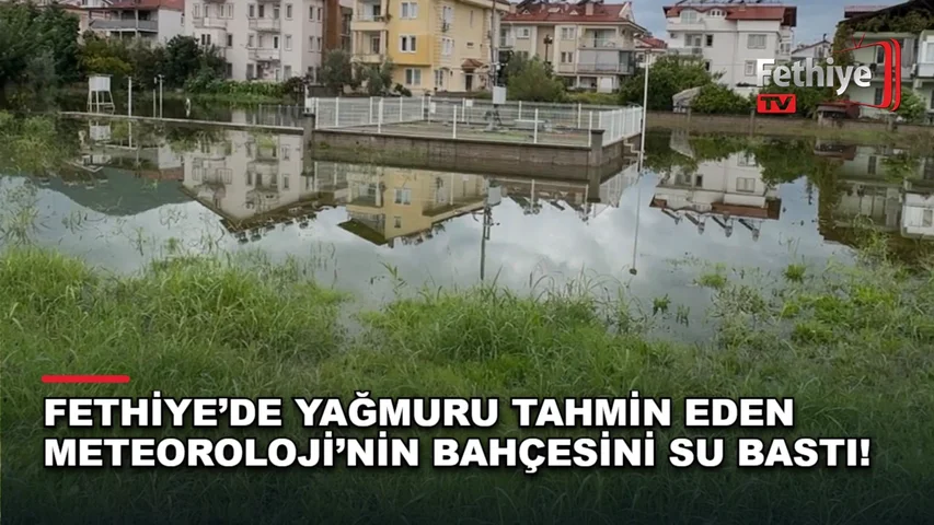 Fethiye'de Meteoroloji Müdürlüğü bahçesinde yağış sonrası oluşan su birikintisinde yüzen ördekler görüldü