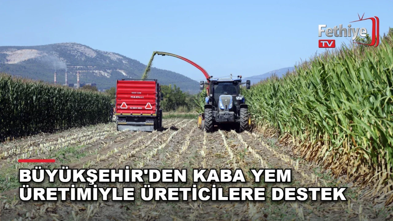 Büyükşehir'den Kaba Yem Üretimiyle Üreticilere Destek