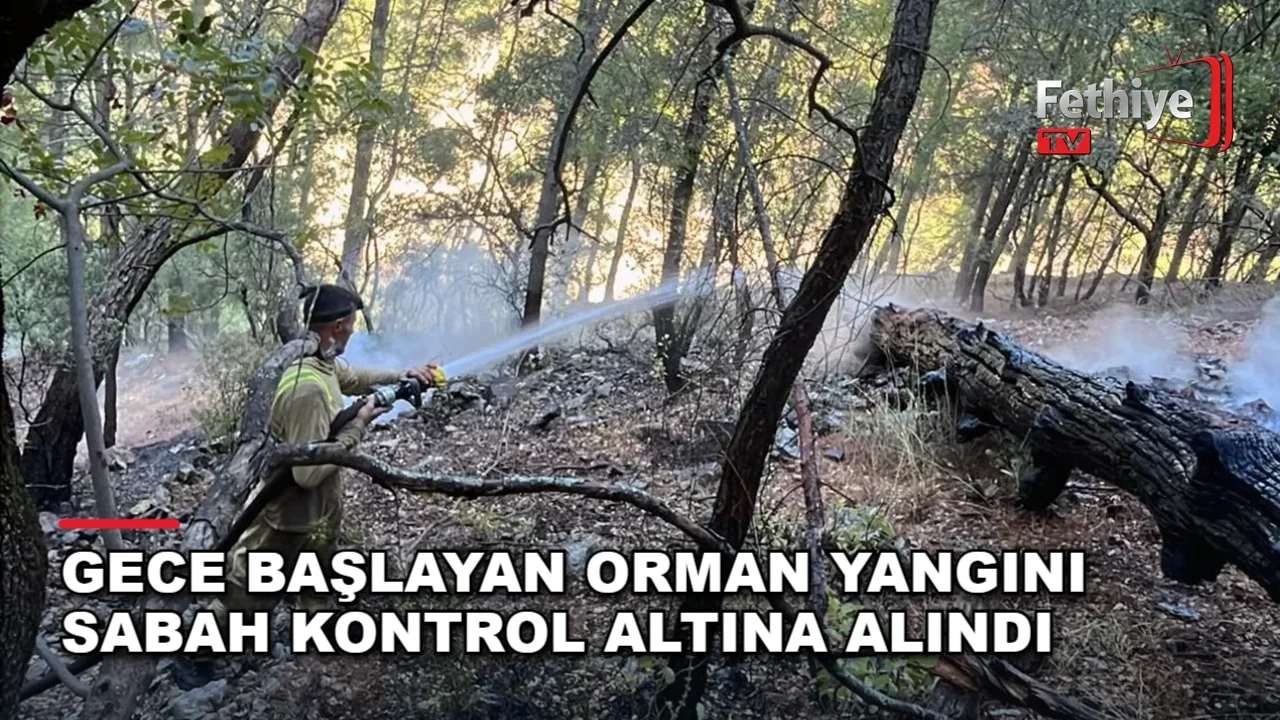 Dalaman'da ulaşımı güç bölgede çıkan orman yangınına orman ekipleri sabah saatlerinde müdahale etti.