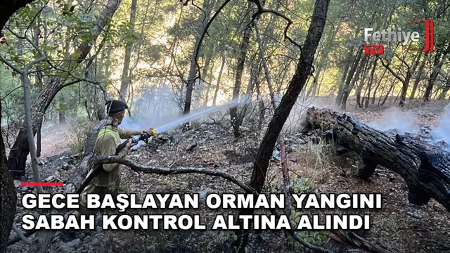 Dalaman'da ulaşımı güç bölgede çıkan orman yangınına orman ekipleri sabah saatlerinde müdahale etti.