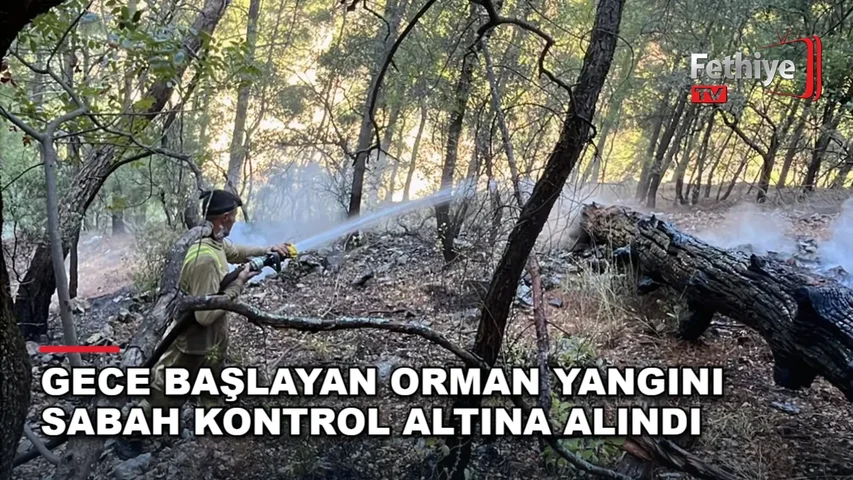 Dalaman'da ulaşımı güç bölgede çıkan orman yangınına orman ekipleri sabah saatlerinde müdahale etti.