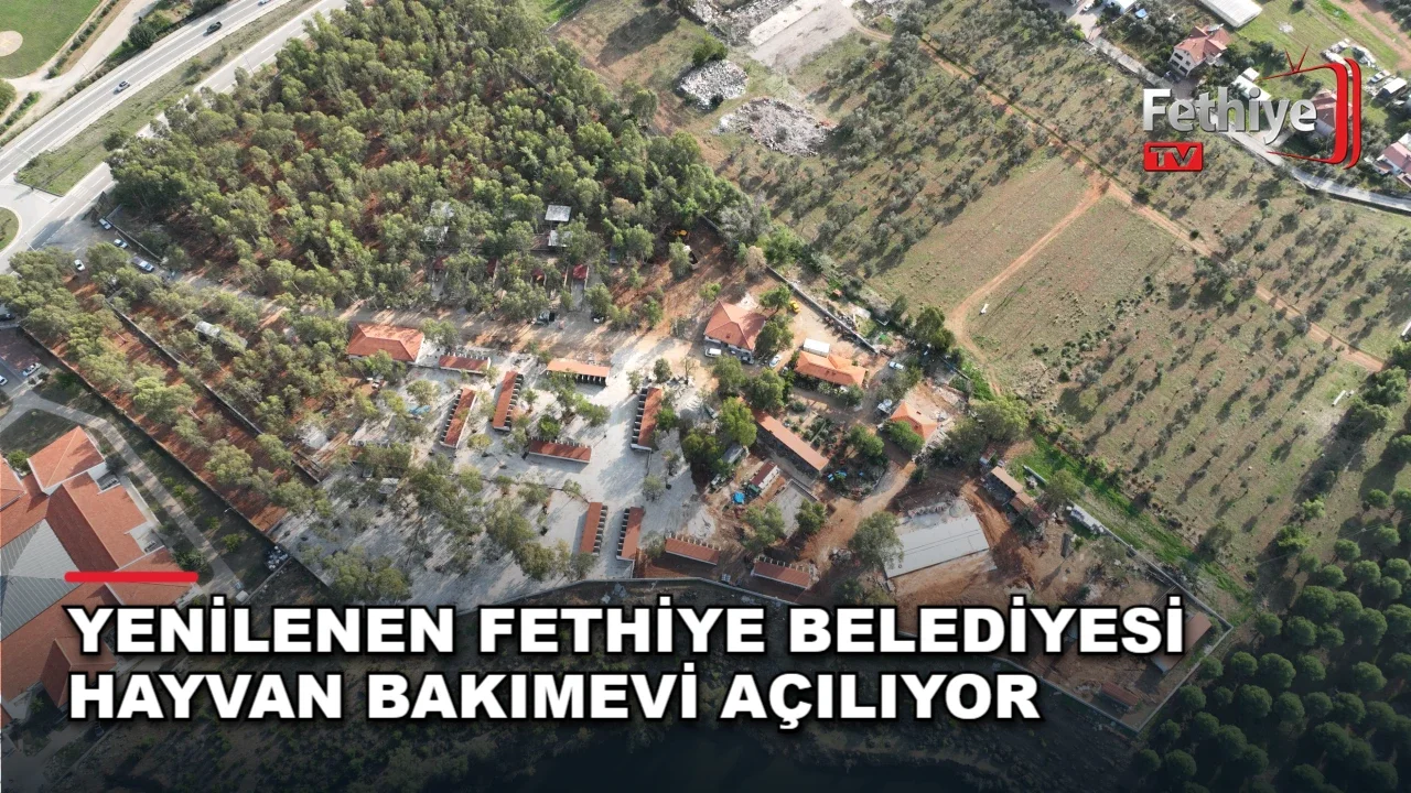 Yenilenen Fethiye Belediyesi Hayvan Bakımevi Açılıyor