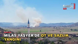 Milas Yaşyer Mahallesi'ndeki sazlık alanda çıkan yangına ekiplerin müdahalesi sürüyor