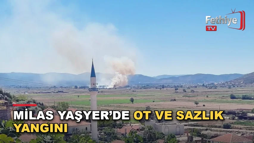 Milas Yaşyer Mahallesi'ndeki sazlık alanda çıkan yangına ekiplerin müdahalesi sürüyor