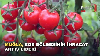 Ege İhracatçı Birlikleri verilerine göre Muğla'nın ihracatı 1 milyar doları aştı, yetkililer değerlendirdi