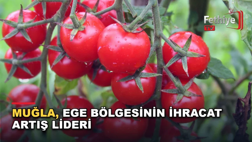 Ege İhracatçı Birlikleri verilerine göre Muğla'nın ihracatı 1 milyar doları aştı, yetkililer değerlendirdi
