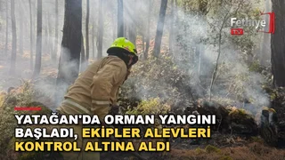 Yatağan Cazgırlar Mahallesi'nde ormanlık alanda çıkan yangına ekipler müdahale etti