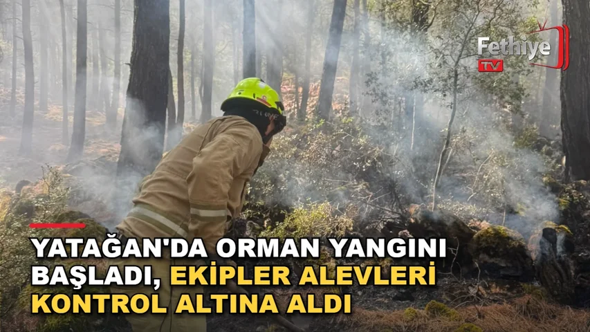 Yatağan Cazgırlar Mahallesi'nde ormanlık alanda çıkan yangına ekipler müdahale etti