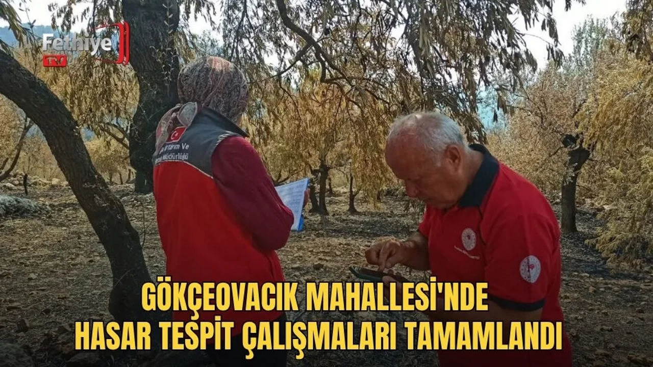 Seydikemer İlçe Tarım Müdürlüğü ekipleri, üreticilerin tarım alanlarında hasar tespit çalışması yürütüyor.