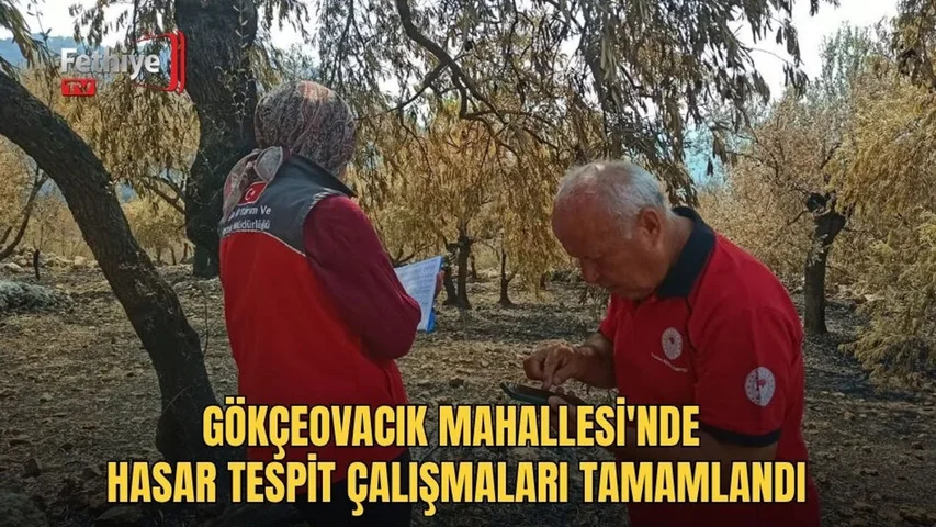 Seydikemer İlçe Tarım Müdürlüğü ekipleri, üreticilerin tarım alanlarında hasar tespit çalışması yürütüyor.
