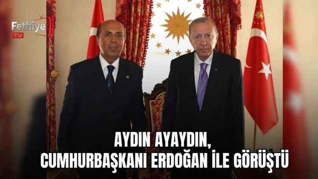 Aydın Ayaydın, Cumhurbaşkanı Erdoğan İle Görüştü
