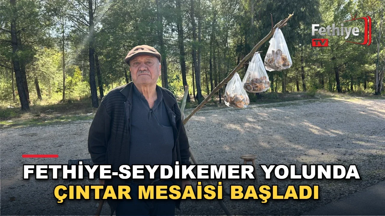Fethiye-Seydikemer Yolunda Çıntar Mesaisi Başladı