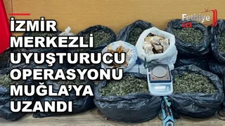 İzmir ve Muğla'da düzenlenen uyuşturucu operasyonunda ele geçirilen skank ve kenevir bitkisi