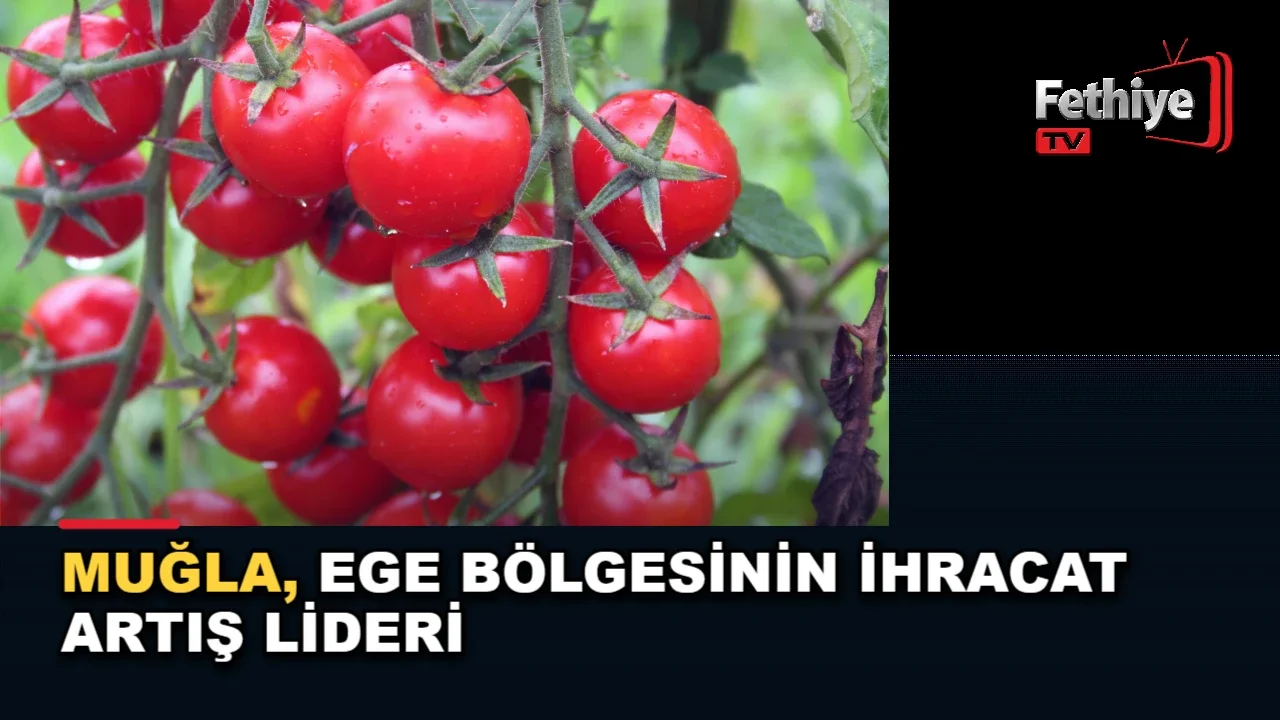 Ege İhracatçı Birlikleri verilerine göre Muğla'nın ihracatı 1 milyar doları aştı, yetkililer değerlendirdi