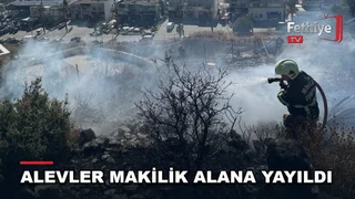 Bodrum Konacık Mahallesi'nde makilik alanda çıkan yangına itfaiye ekipleri müdahale etti
