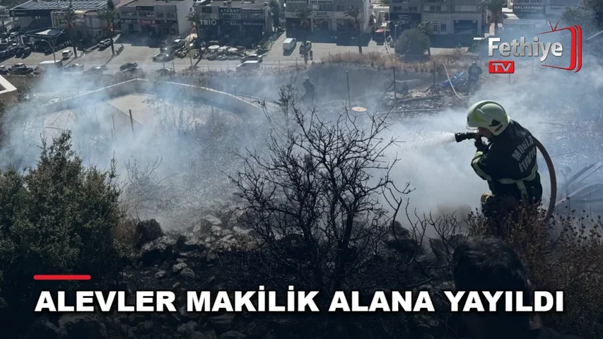 Bodrum Konacık Mahallesi'nde makilik alanda çıkan yangına itfaiye ekipleri müdahale etti